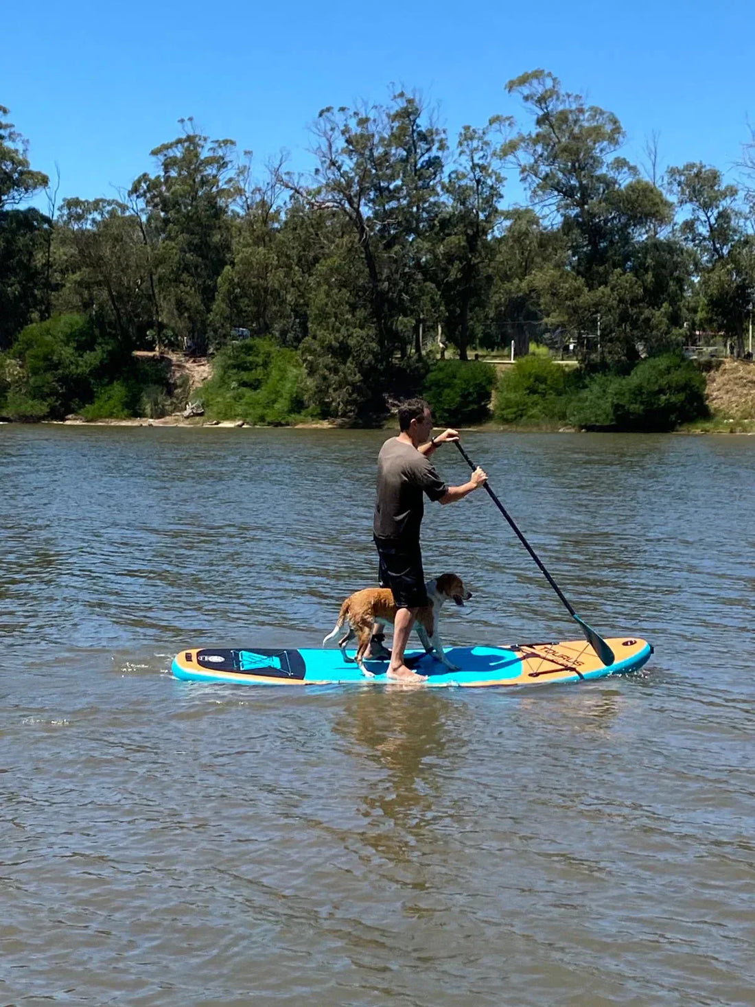 ¿Qué podés hacer con una tabla de paddle surf? Más de lo que imaginas