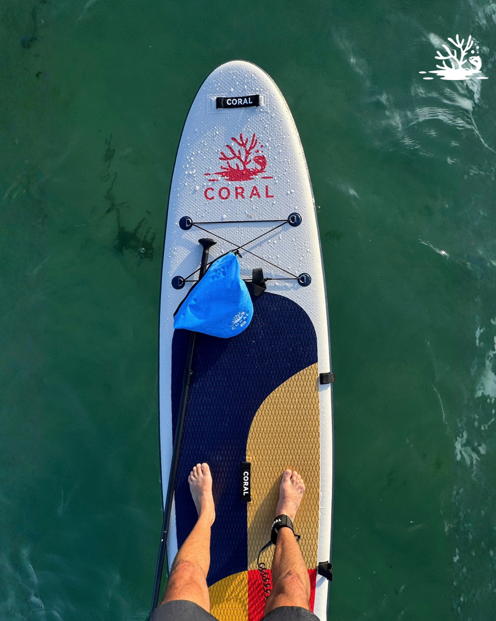 Preventa Coral MANSA · Seña de reserva · SUP inflable 11’ · All-Round versátil
