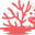 Coral Uruguay logo